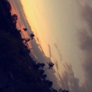 Meet your Posher, Preston